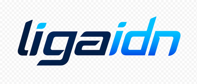 Logo ligaidn